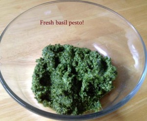 fresh basil pesto